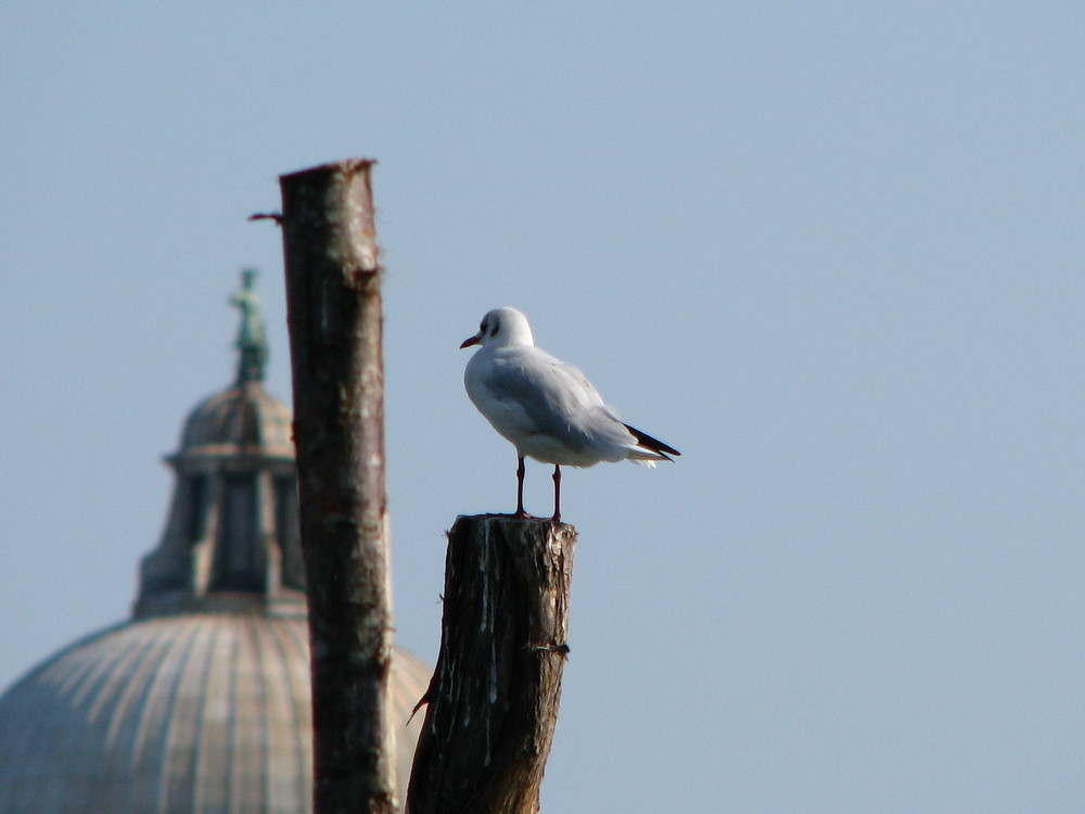 Rastplatz in Venedig