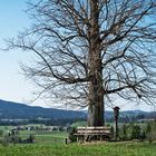 Rastplatz mit Aussicht