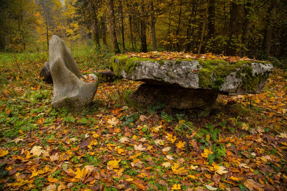 Rastplatz - picnic area