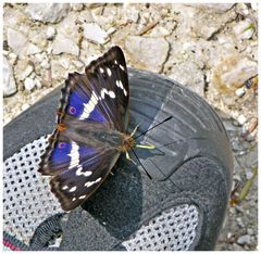 Rastplatz Schuhspitze