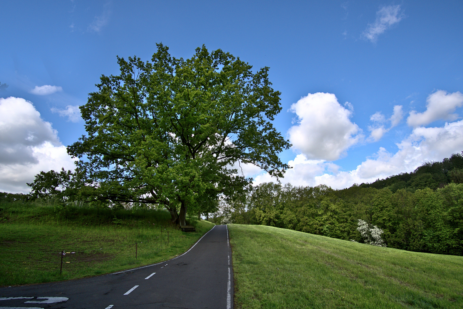 Rastplatz unterm Baum