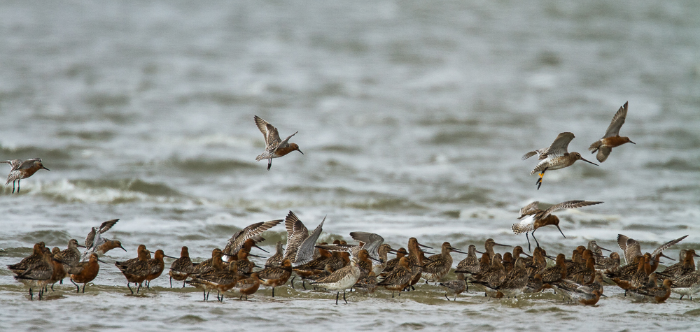 Rastplatz Wattenmeer