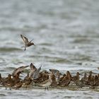 Rastplatz Wattenmeer