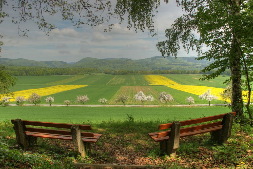 Rastplatz zum Frühling