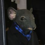 Rat-billé