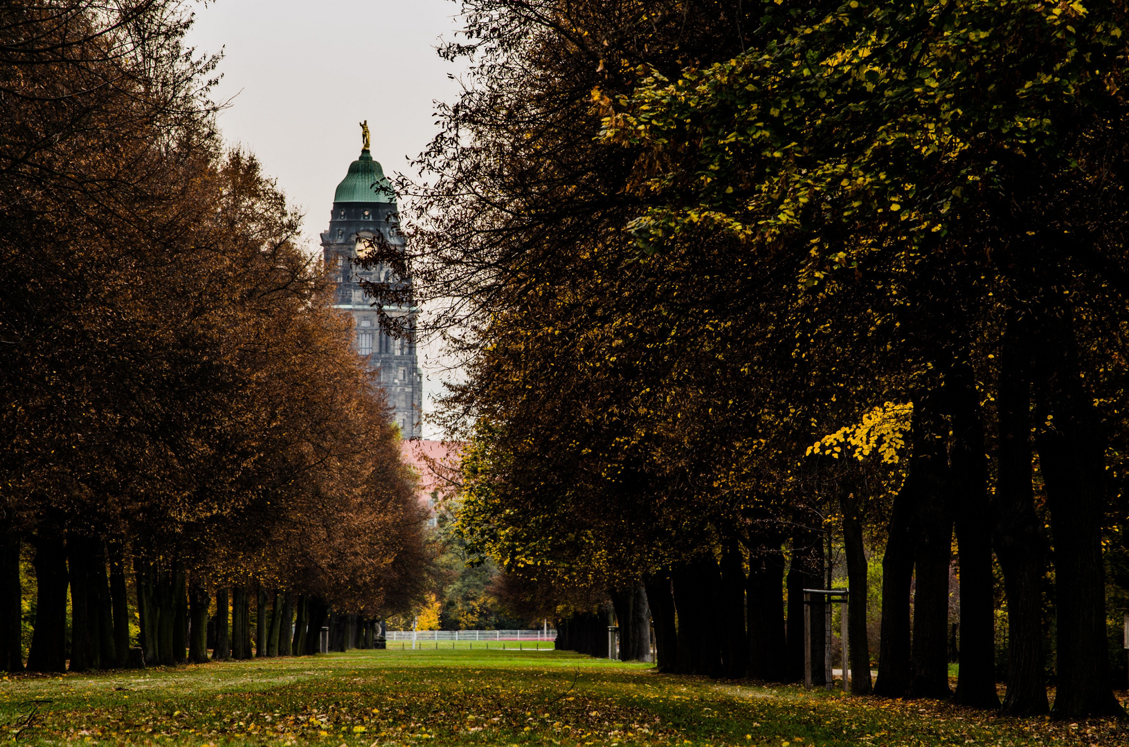 Rathaus Dresden