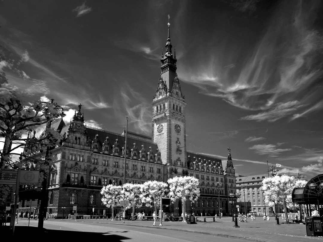 Rathaus, Hamburg.