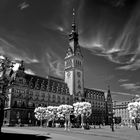 Rathaus, Hamburg.