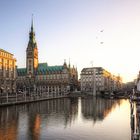 Rathaus Hamburg im Abendlicht