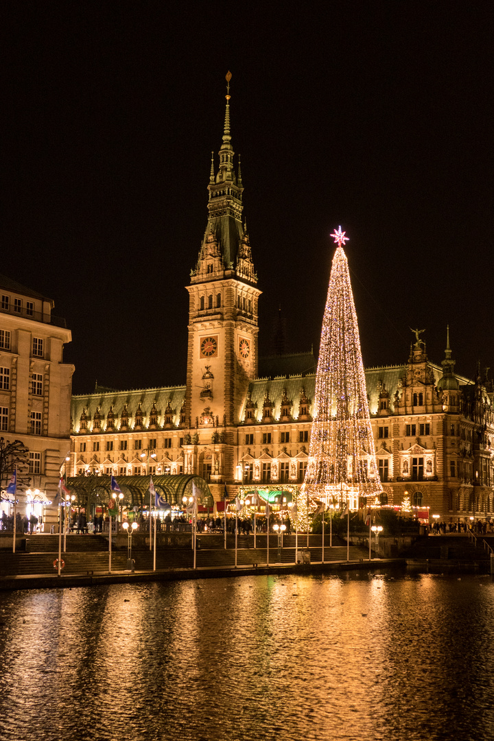 Rathaus Hamburg in der Weihnachtszeit