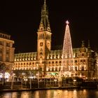 Rathaus Hamburg in der Weihnachtszeit