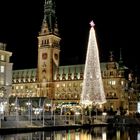 Rathaus Hamburg_Weihnachtsmarkt