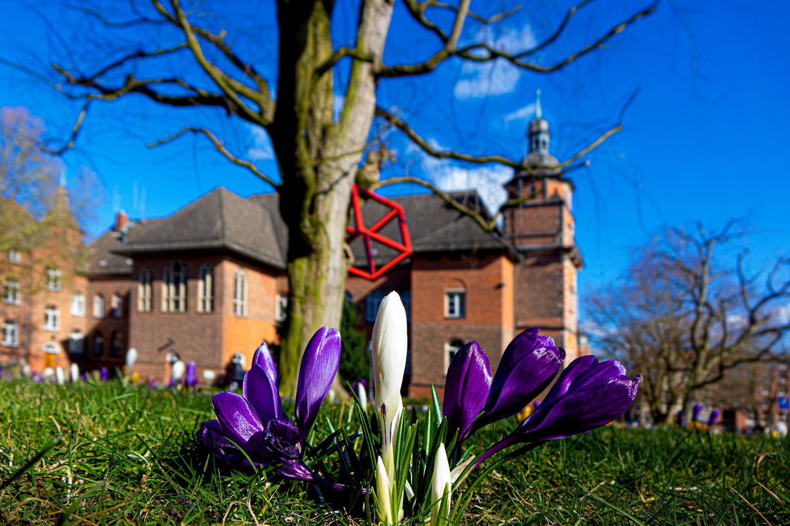 Rathaus Harburg im Frühling