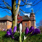 Rathaus Harburg im Frühling