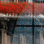 Rathaus in Wien