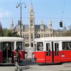 Rathaus in Wien