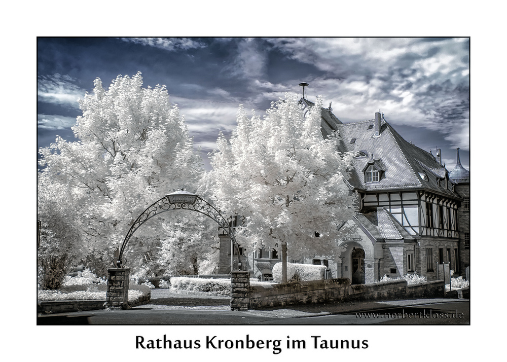 Rathaus Kronberg im Taunus