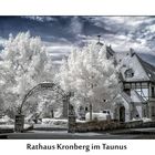 Rathaus Kronberg im Taunus