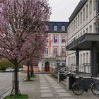 Rathaus-Landratsamt-Dienstfahrrad ....