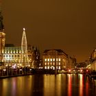 Rathaus mit Tannenbaum