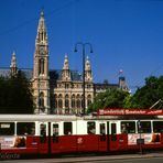 Rathaus mit Tram