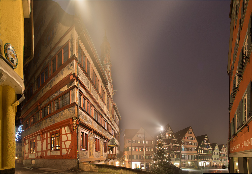 Rathaus Tübingen im Nebel III