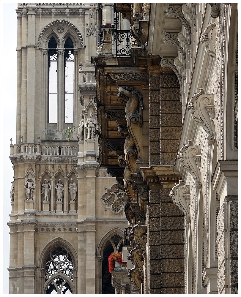 Rathaus Wien