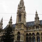 Rathaus Wien mit Weinachtsbaum