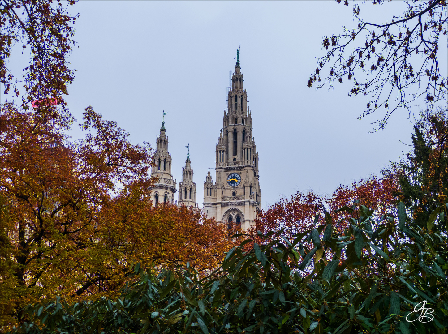 Rathaus/Wien