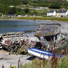 Rathlin Island 31.08.2017 073