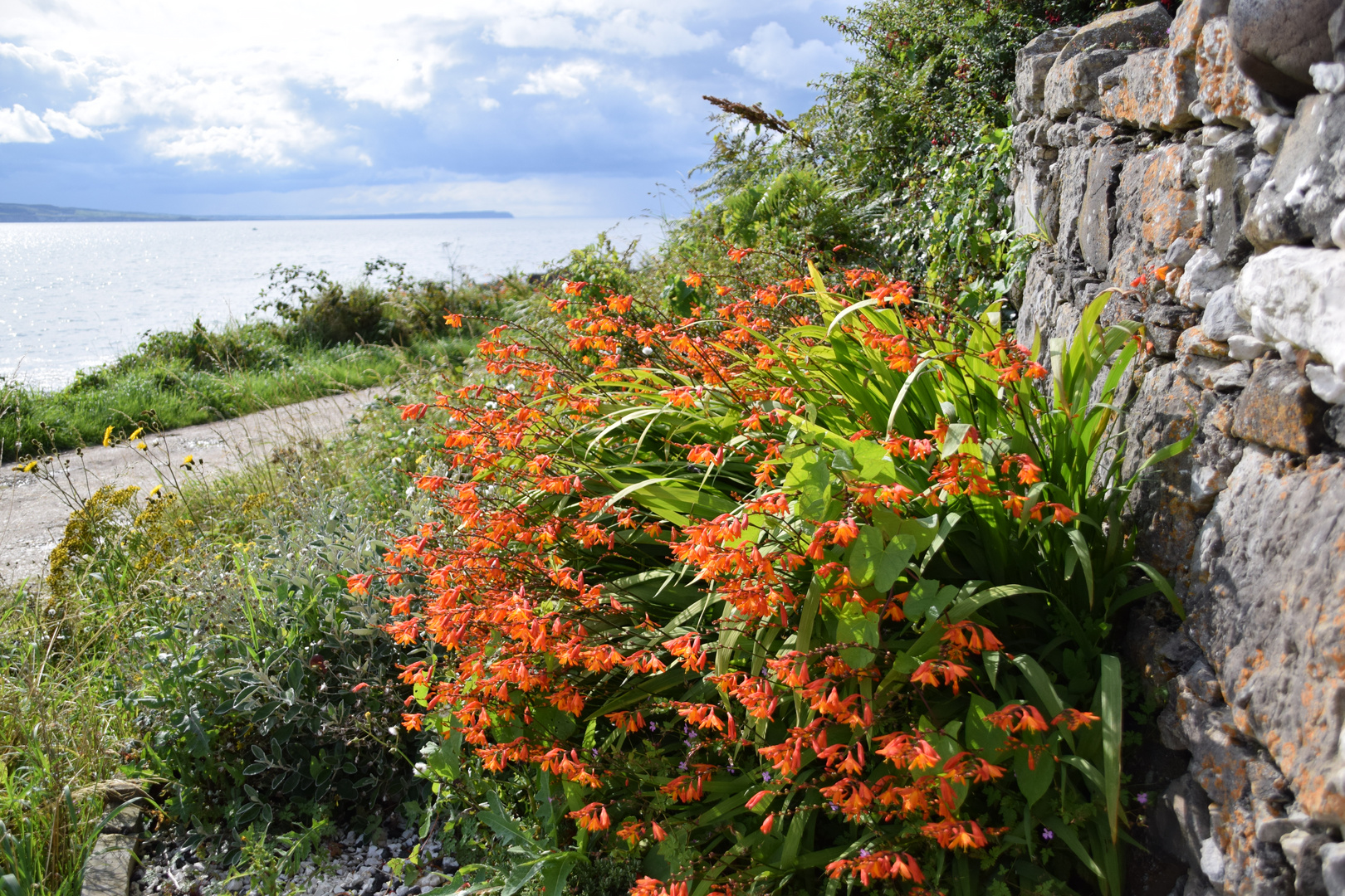 Rathlin Island 