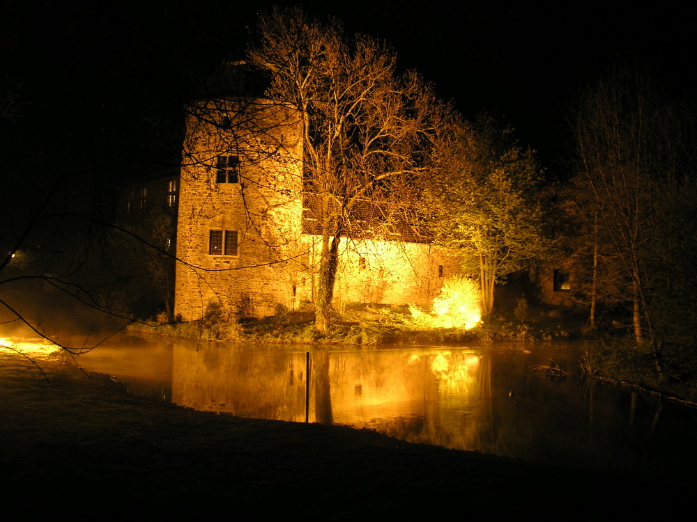 Ratingen Wasserburg (3)