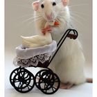 Rats - Mother Love -