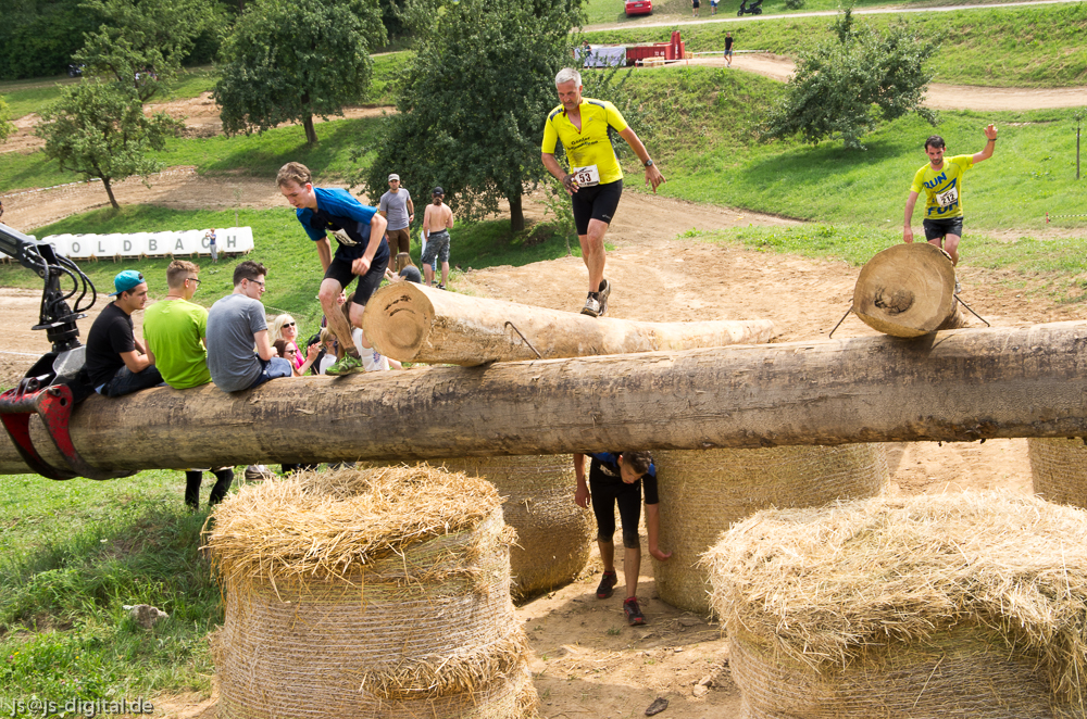 Rats Runners Goldbach 2014 Baumstämme 1