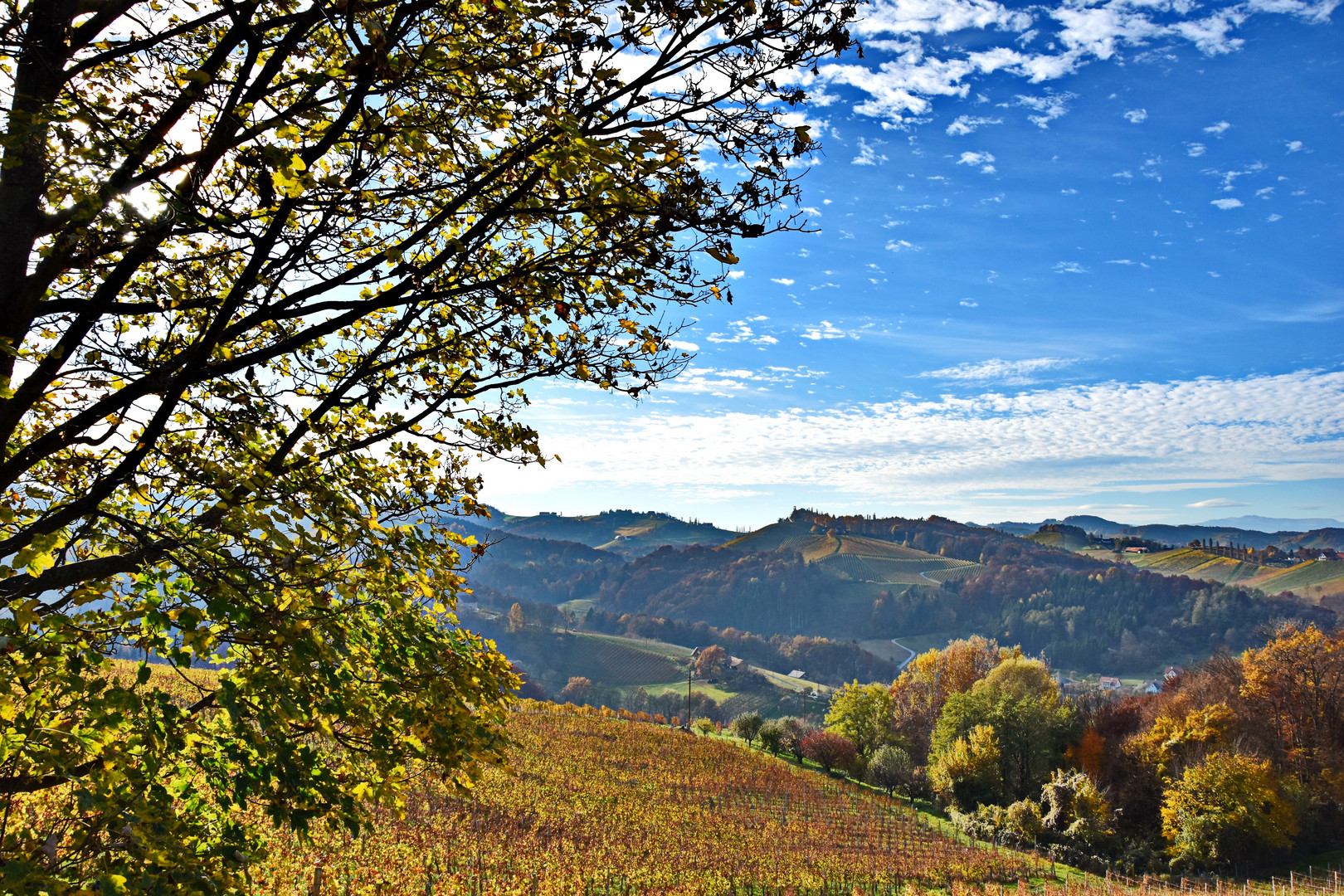 Ratsch ,Brolliausblick