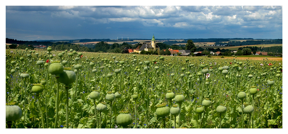 Ratschenhof bei Zwettl