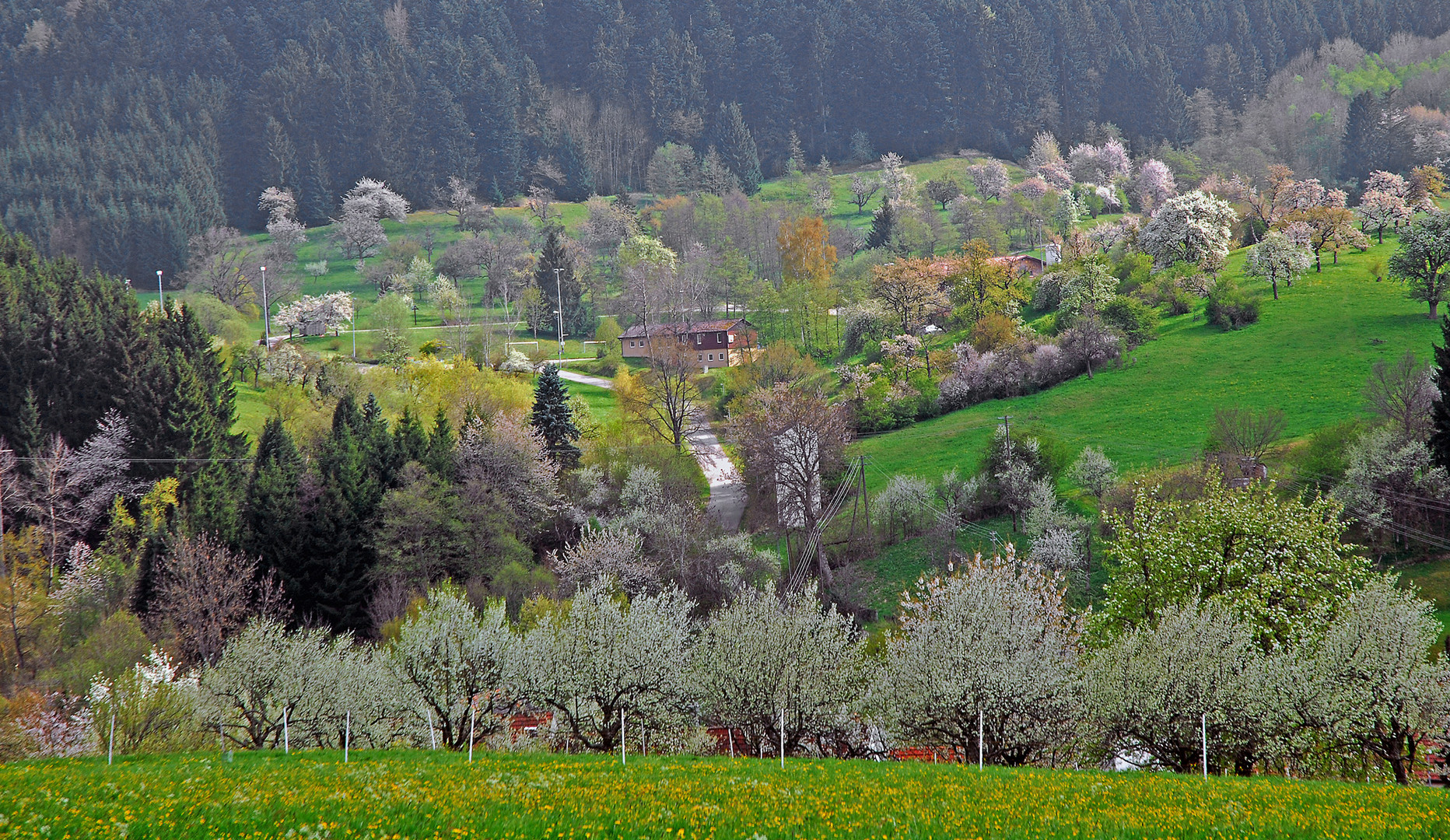 Ratshausen