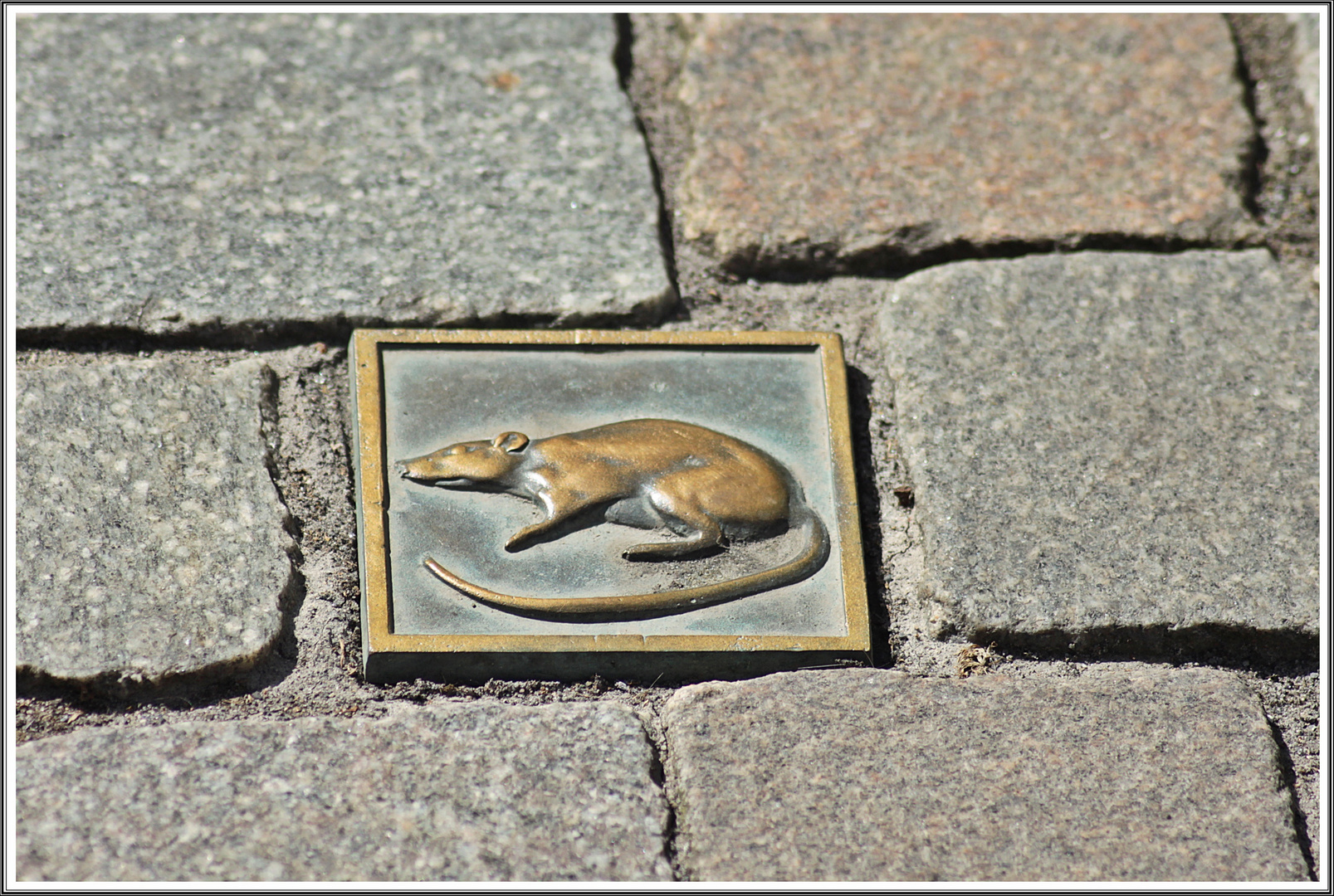 Ratte auf der Straße 