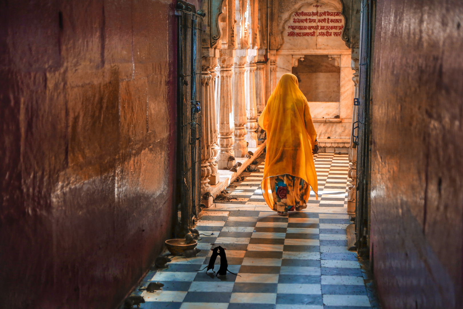 Rattentempel/Rajasthan