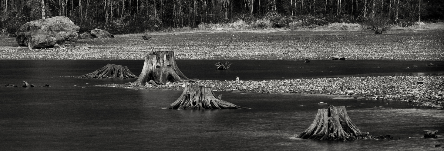 Rattle Snake Lake