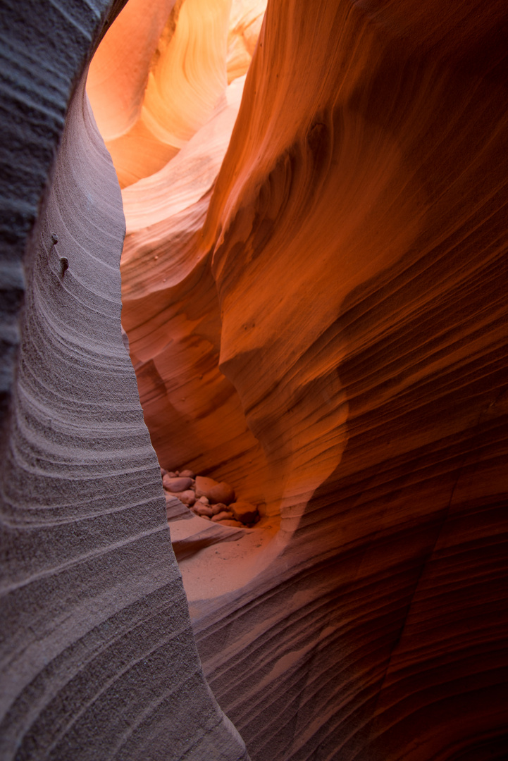 rattlesnake canyon