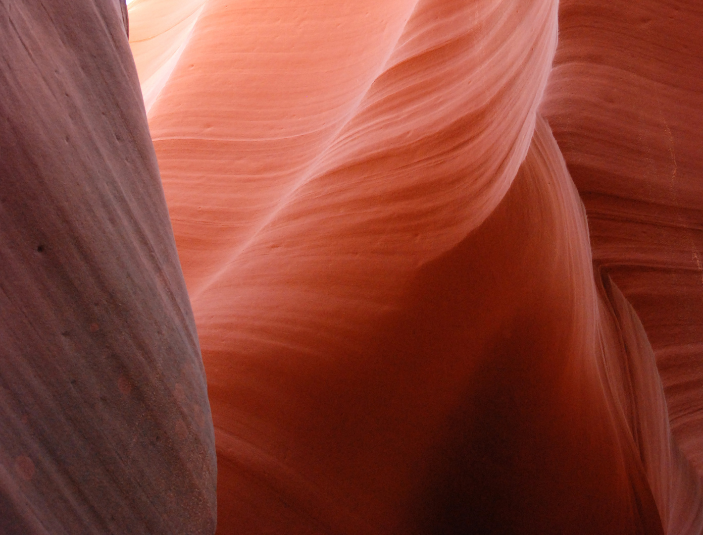 Rattlesnake canyon