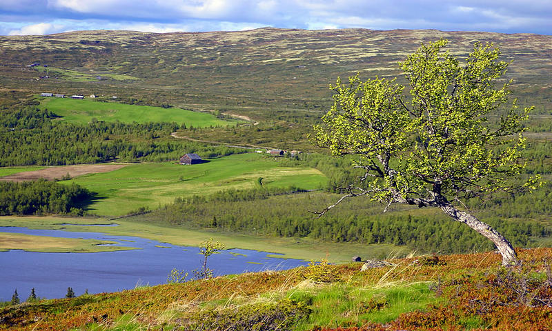 Rauberget im Øyerfjellet