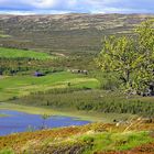 Rauberget im Øyerfjellet