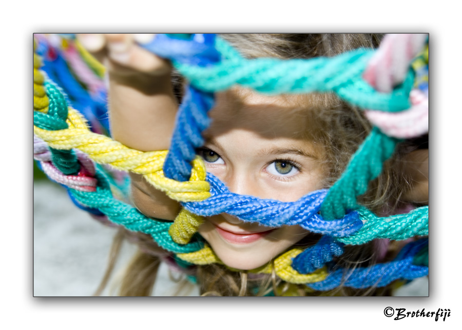 Raubkätzchen hinter Gittern