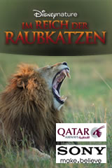 Raubkatzen2