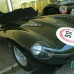 Raubtier: Jaguar D-Type