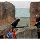 Raubtierfütterung im ZOO am Meer