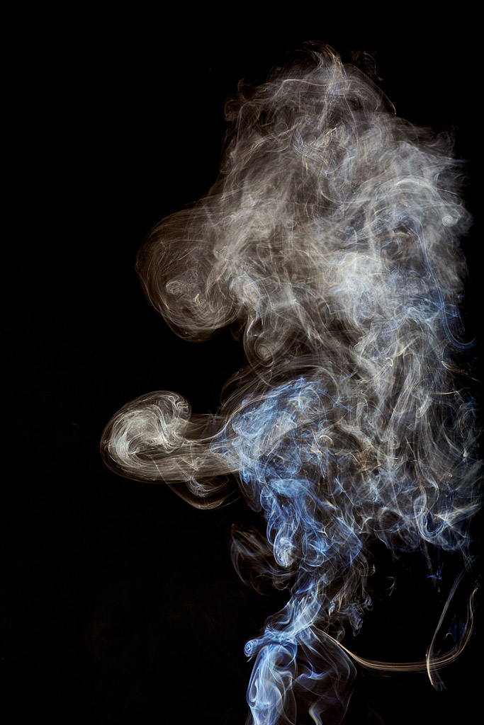 Rauch 2012 - VII