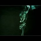 Rauch 7
